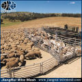 Schwere galvanisierte Schiene pastorale Industrie Vieh / Vieh Yard Panel